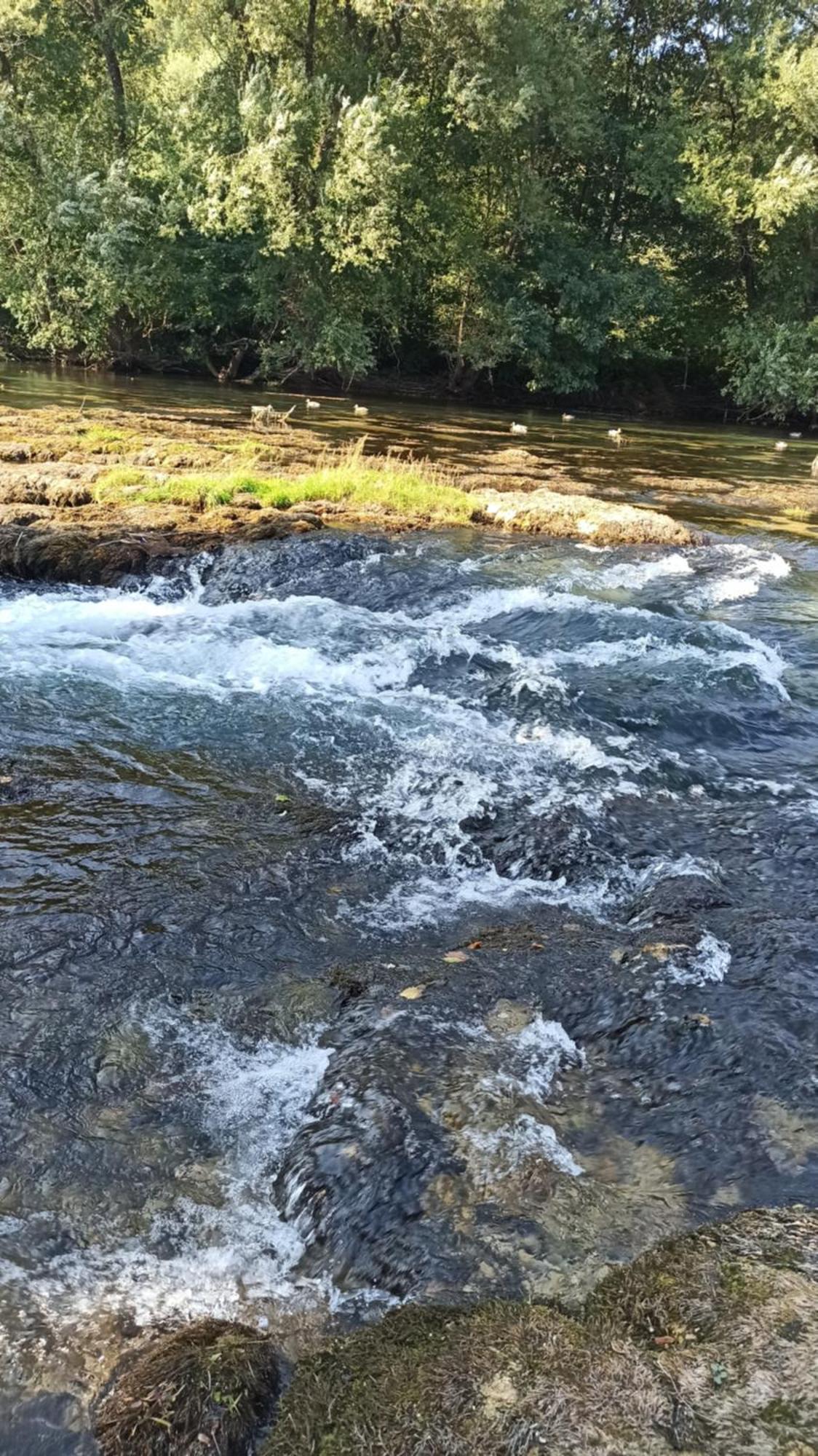 Bungalov Cozy Una Kulen Vakuf Exteriör bild
